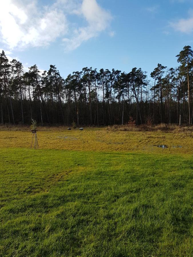 Sonnenstrahl im Küstenwald Gelbensande Exterior foto